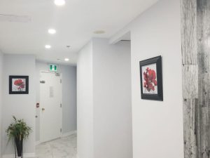 Red Rose Dentistry reception area — 135 James St S Downtown Hamilton, ON
